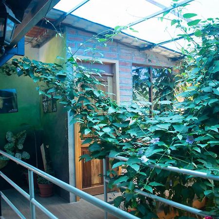 Hostal Los Farolitos มินโด ภายนอก รูปภาพ